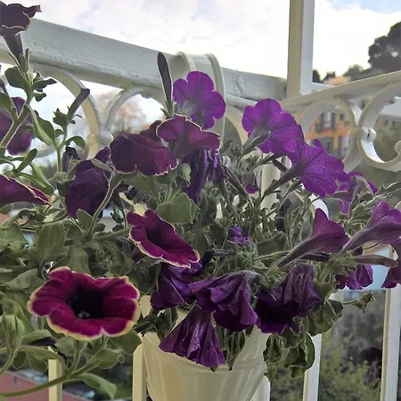 Lejlighed A Casa Di Mariro La Spezia