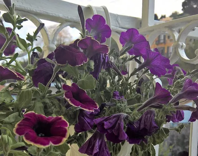 Apartman A Casa Di Mariro La Spezia